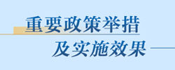 重要政策举措及实施效果